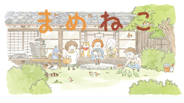 「まめねこ」のメインビジュアル