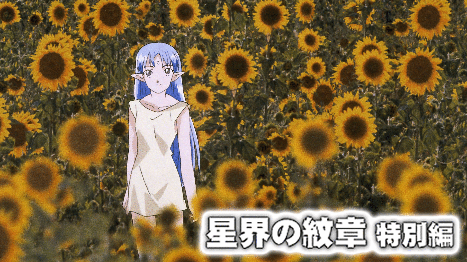 「星界の紋章　特別編」のメインビジュアル