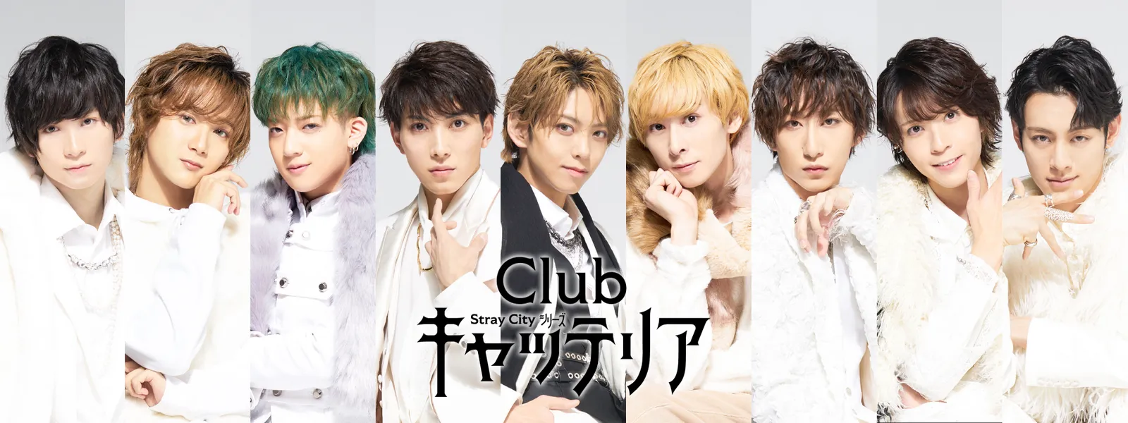 「Stray City シリーズ「Clubキャッテリア」」のメインビジュアル